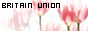 Britain Union